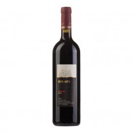 Ben Ami Merlot