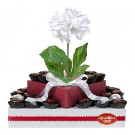 Chocolate Cluster