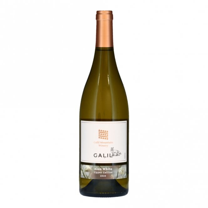 Galil Alon White