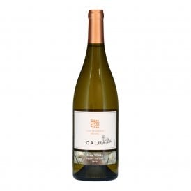 Galil Alon White