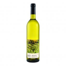 Galil Mountain Sauvignon Blanc