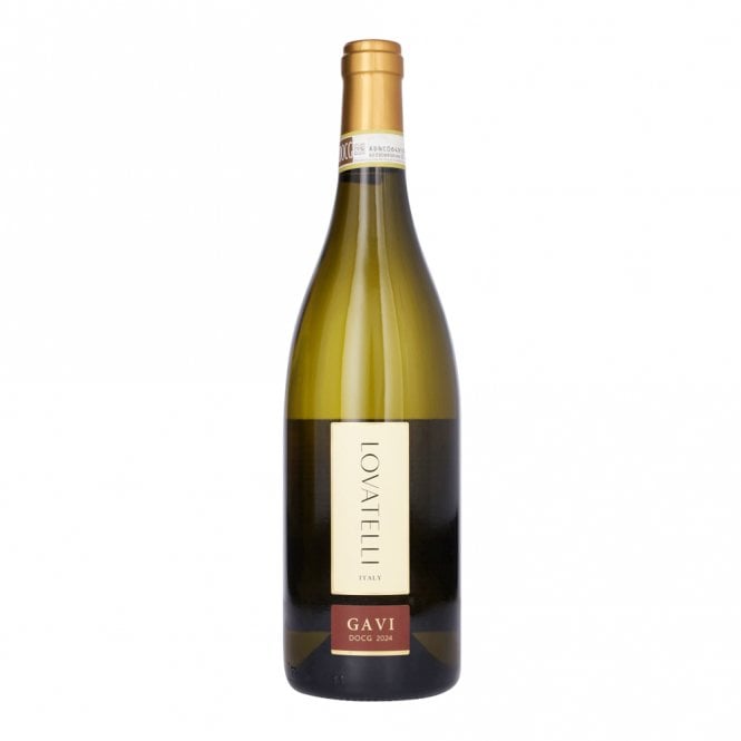 Lovatelli Gavi White