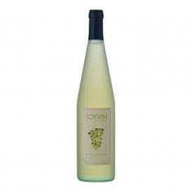 Rashi Joyvin White
