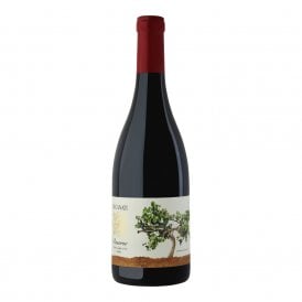 Recanati Reserve Petit Syrah