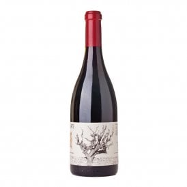 Recanati Wild Carignan Reserve