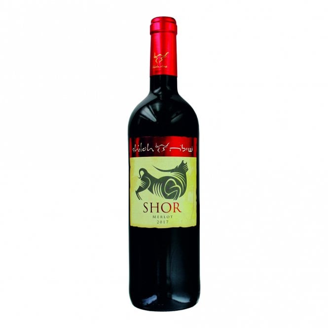 Shiloh Shor - Merlot