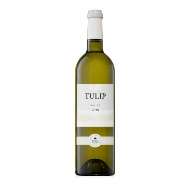 Tulip Espero White