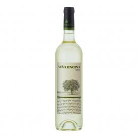 Vina Encina  Blanco By Elvi Wines
